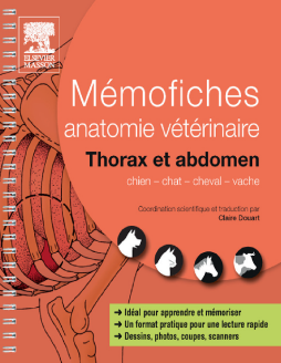 Mémofiches anatomie vétérinaire - Thorax et abdomen