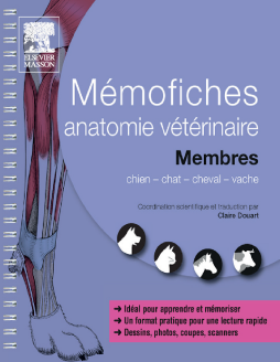 Mémofiches anatomie vétérinaire - Membres