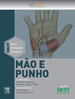 Mão e Punho Mão e Punho